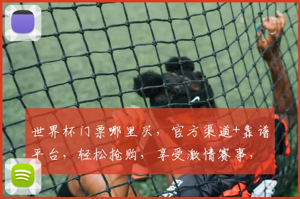 世界杯门票哪里买，官方渠道+靠谱平台，轻松抢购，享受激情赛事，快来选购吧