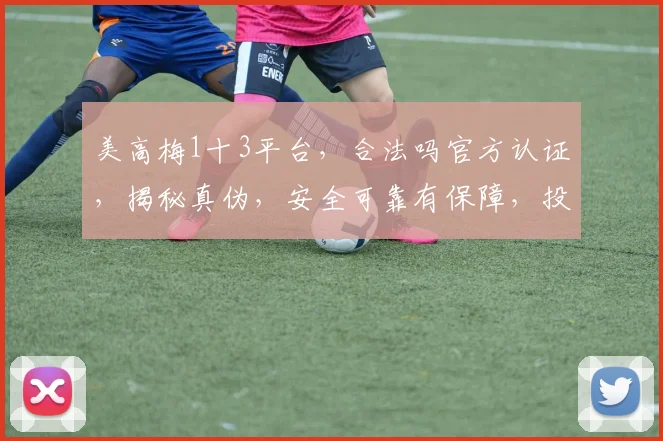 美高梅1十3平台，合法吗官方认证，揭秘真伪，安全可靠有保障，投资需谨慎